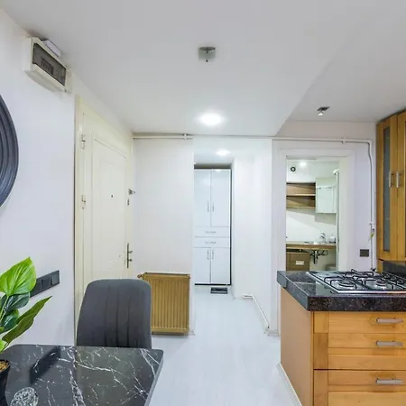 Lovely Studio W/small Yard In Cihangir *
